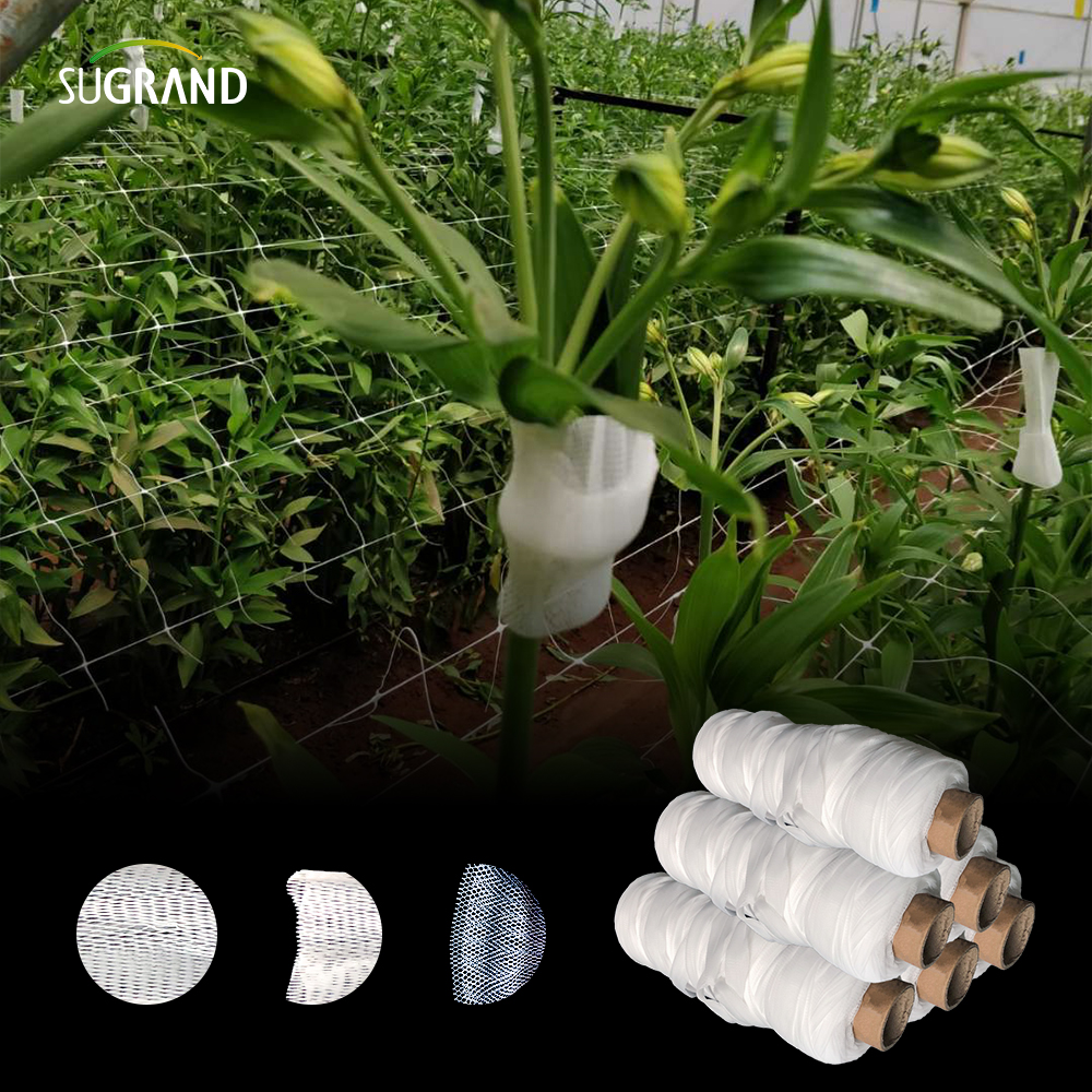 Προστατευτικό δίχτυ για μανίκια LDPE από λευκό πλαστικό τριαντάφυλλο